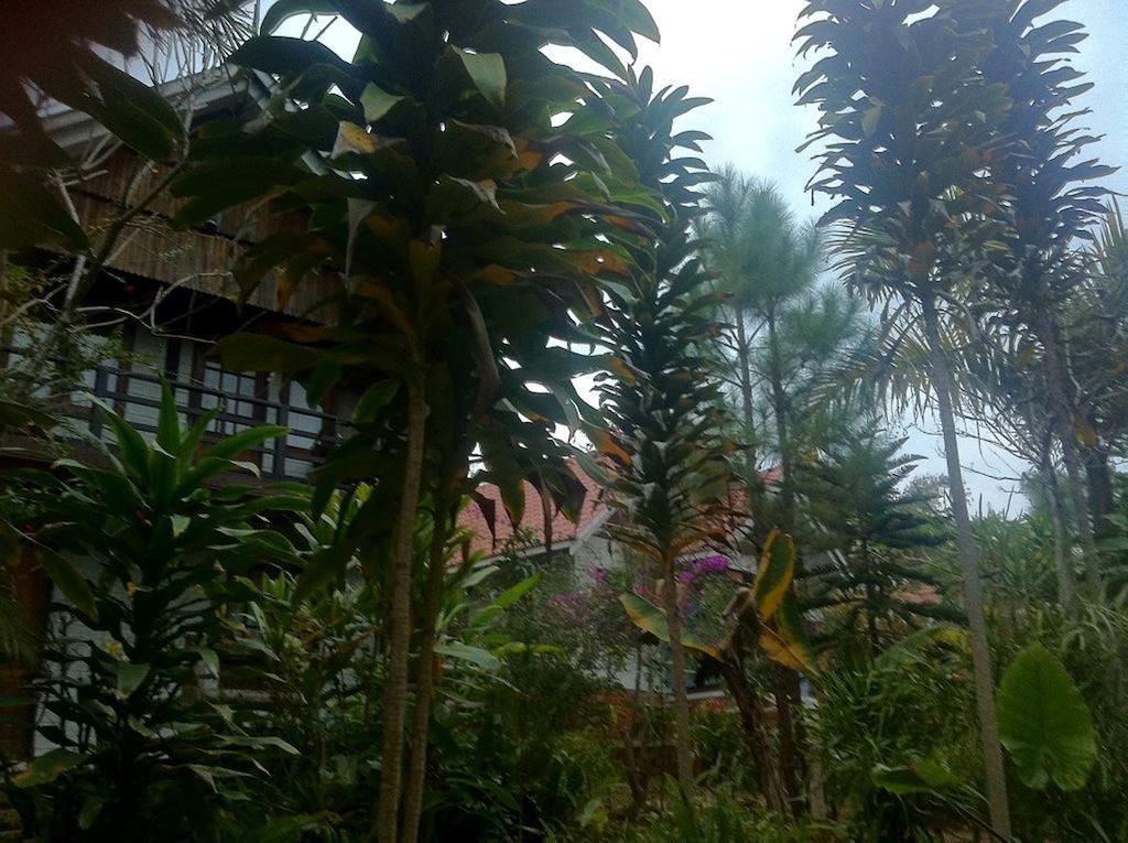 מלון קלאו Nature Land מראה חיצוני תמונה