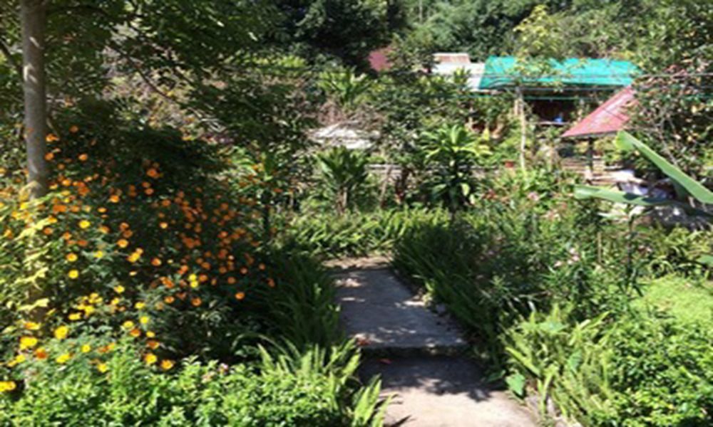 מלון קלאו Nature Land מראה חיצוני תמונה